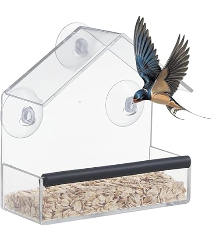 Amazon.co.jp: Sylaza 窓 鳥の餌やり器 家の中 窓 バードフィーダー